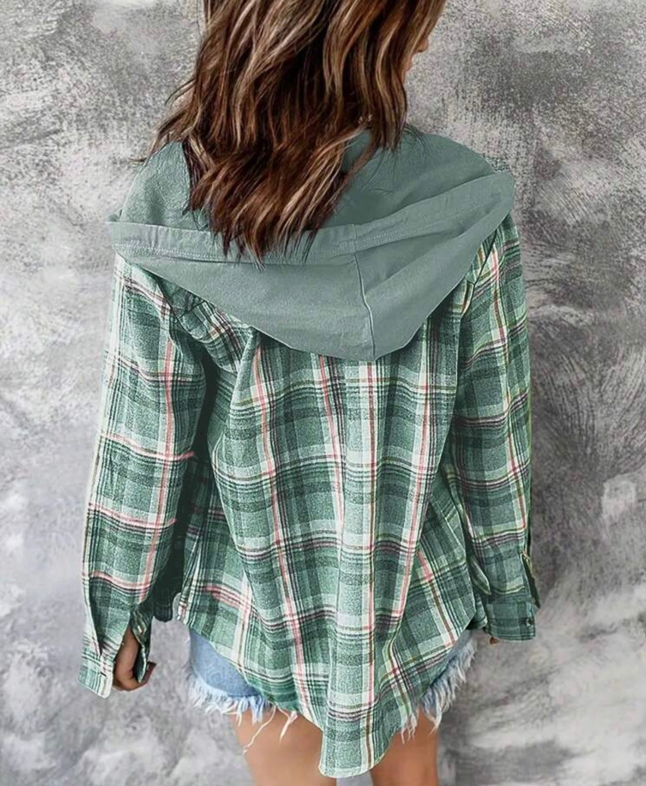 Plaid Casual Hooded Shirt, Long Sleeves